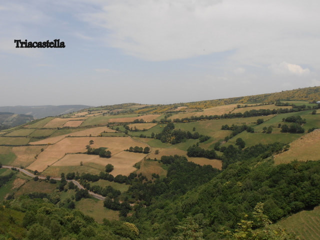 Fotografija: Panoramska fotografija polj in travnikov, levo spodaj cesta.