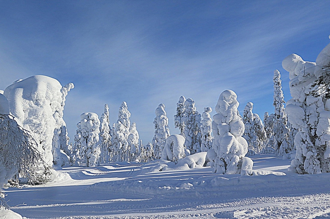 Fotografija: Zima na Laponskem